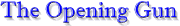 gun.gif (3120 bytes)