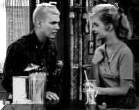 dobie1.jpg (8573 bytes)