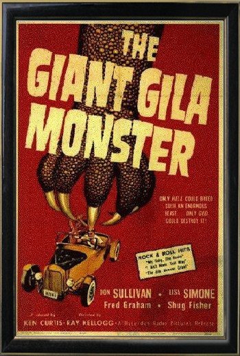 gila.jpg (90914 bytes)