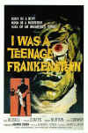 teenagefrankenstein.jpg (70711 bytes)