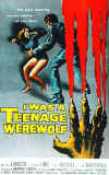 teenagewerewolf.jpg (55806 bytes)