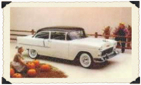 card8.jpg (39045 bytes)