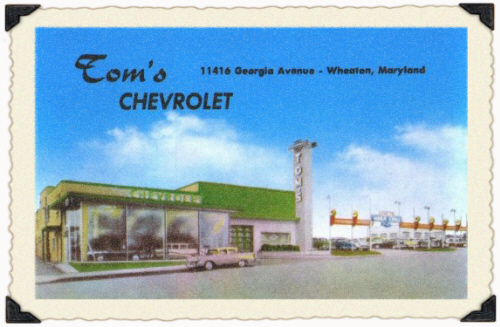 showrm2.jpg (123443 bytes)