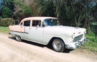 donna55.jpg (12057 bytes)